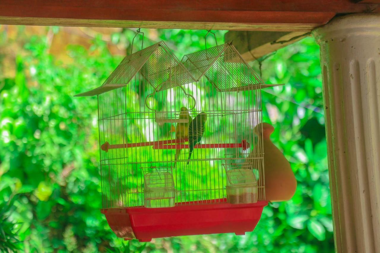 Rustle Hill Home Stay-เอลลา ภายนอก รูปภาพ